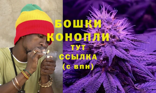 гашик Михайлов