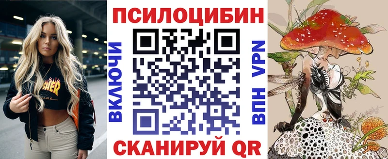 мега зеркало  Калуга  Псилоцибиновые грибы Cubensis 